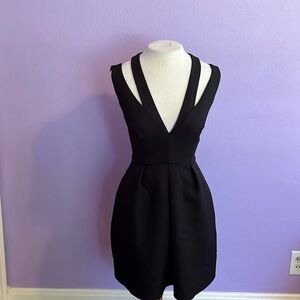 Bcbgmaxazria dress
